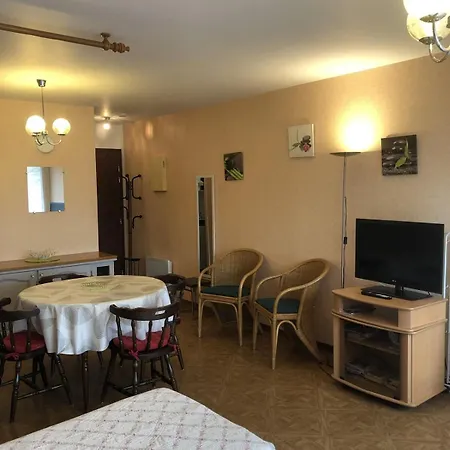 Appartement T1 29 M2 Lumineux Vue Garage