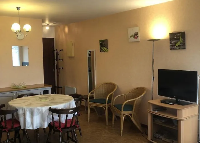 Apartamento T1 29 M2 Lumineux Vue Garage