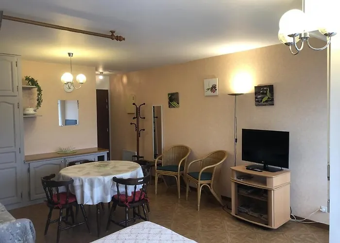 T1 29 M2 Lumineux Vue Garage