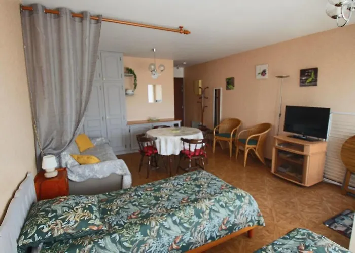 Apartamento T1 29 M2 Lumineux Vue Garage Aix-les-Bains